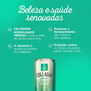 Bebida de Colágeno - Abacaxi com Hortelã e Limão - display com 6 unidades